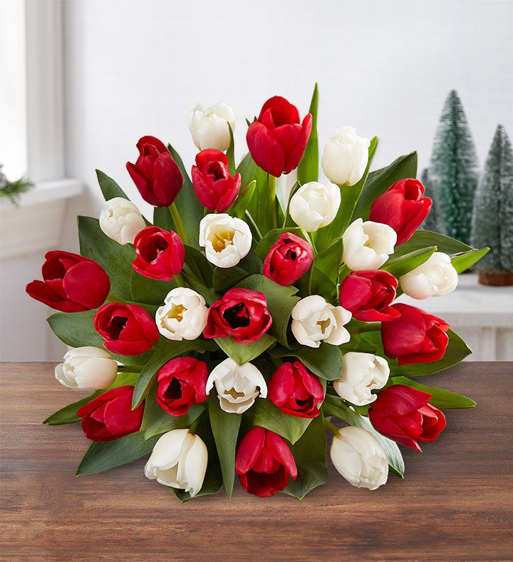 Merry and Bright Tulips Flower Bouquet