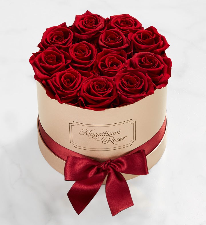 Magnificent Roses® Preserved Cabernet Roses Flower Bouquet