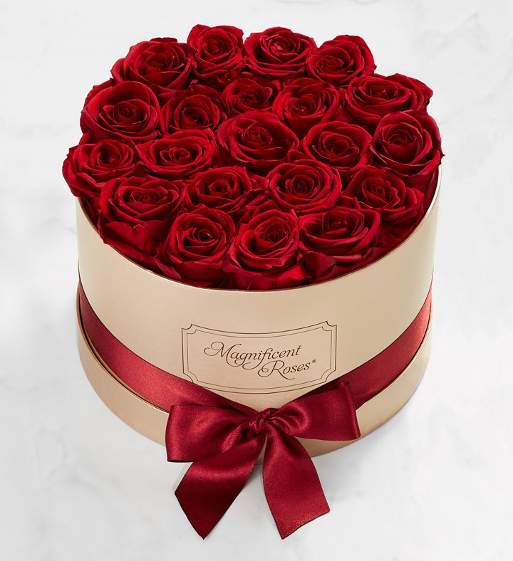 Magnificent Roses® Preserved Cabernet Roses Flower Bouquet