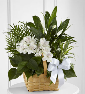 The FTD® Peace & Serenity™ Dishgarden Flower Bouquet