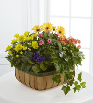 The FTD® Gentle Blossoms™ Basket Flower Bouquet
