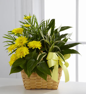 The FTD® Loving Light™ Dishgarden Flower Bouquet