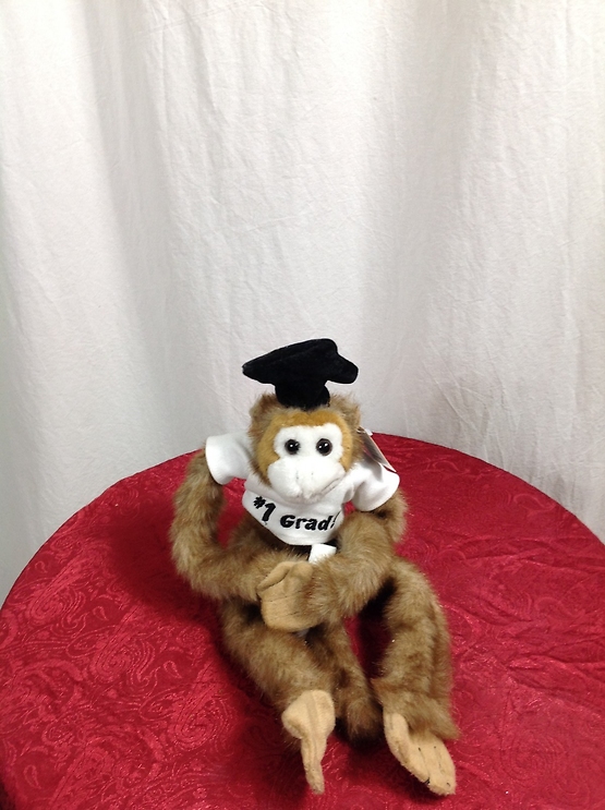 Graduation Monkey