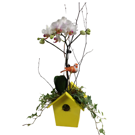 Birdhouse with Orchid Flower Bouquet