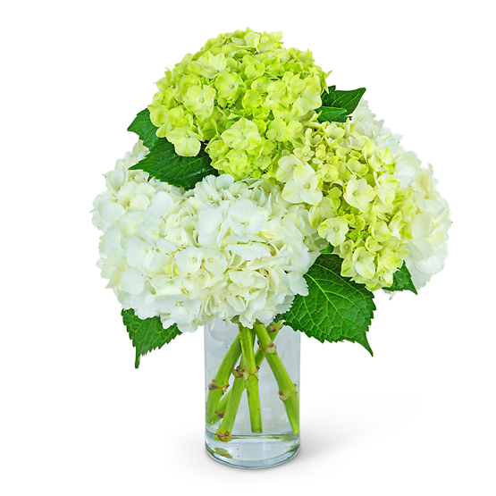 Cashmere and Mint Flower Bouquet