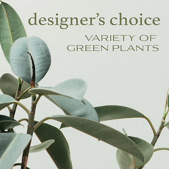 Designer's Choice - Variety of Green Plants Flower Bouquet