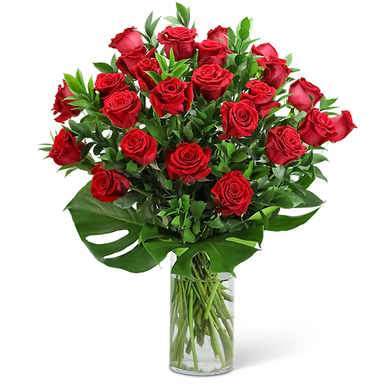 Red Roses with Modern Foliage (24) Flower Bouquet