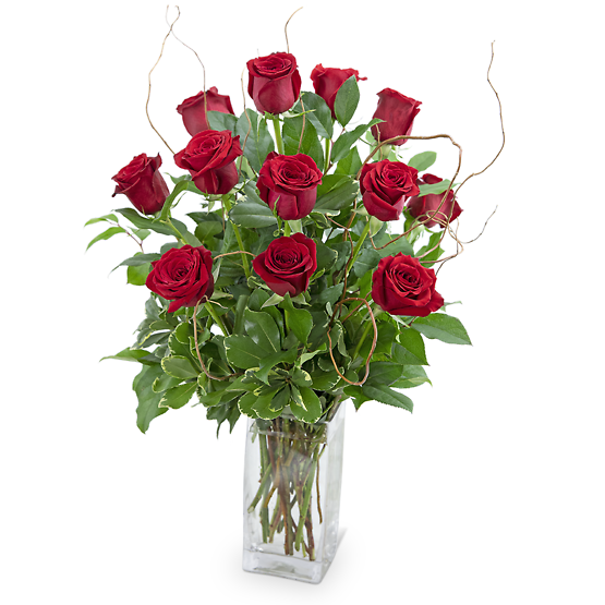 Dozen Red Roses with Willow Flower Bouquet