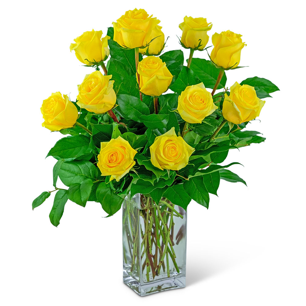 Yellow Roses (12)