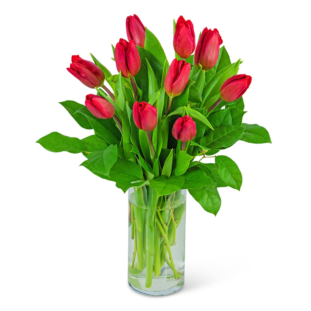 Red Tulips Flower Bouquet