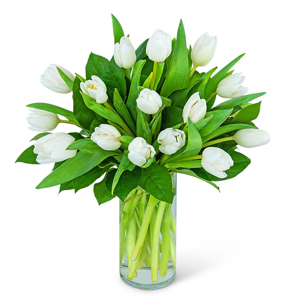 White Tulips Flower Bouquet
