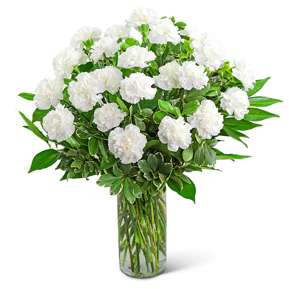 White Carnations Vase Flower Bouquet