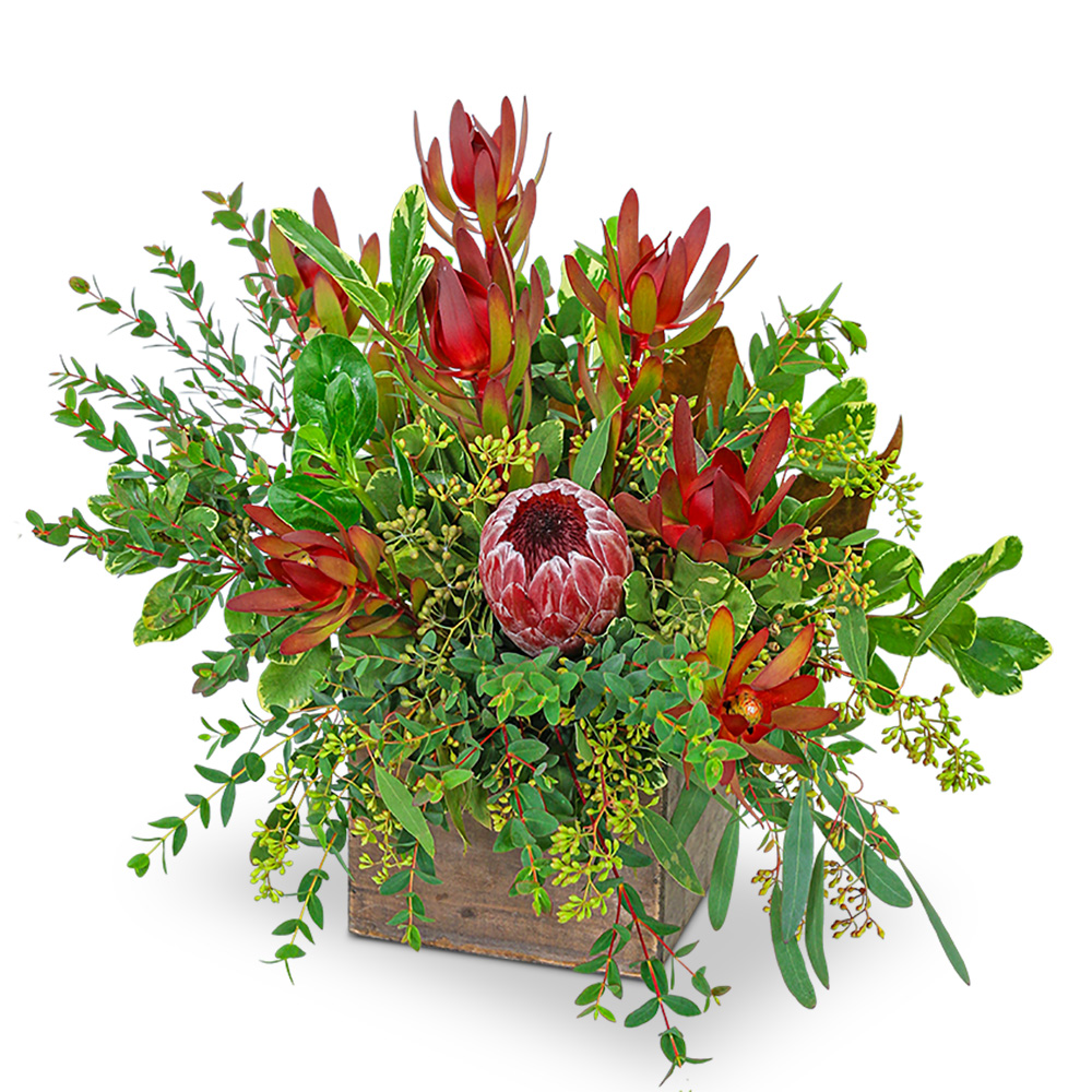 Wild and Lush Protea Flower Bouquet