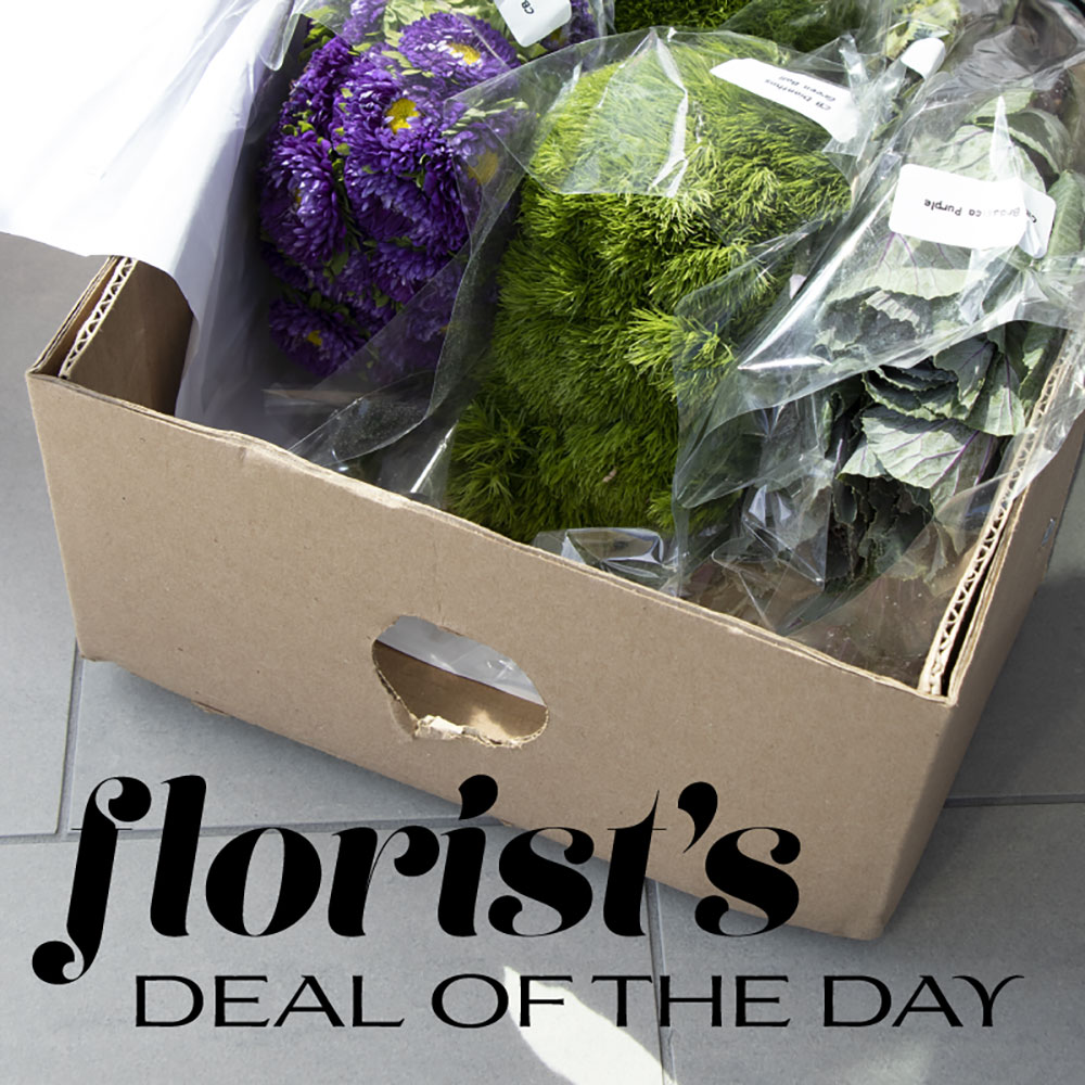 Florist's Deal of the Day