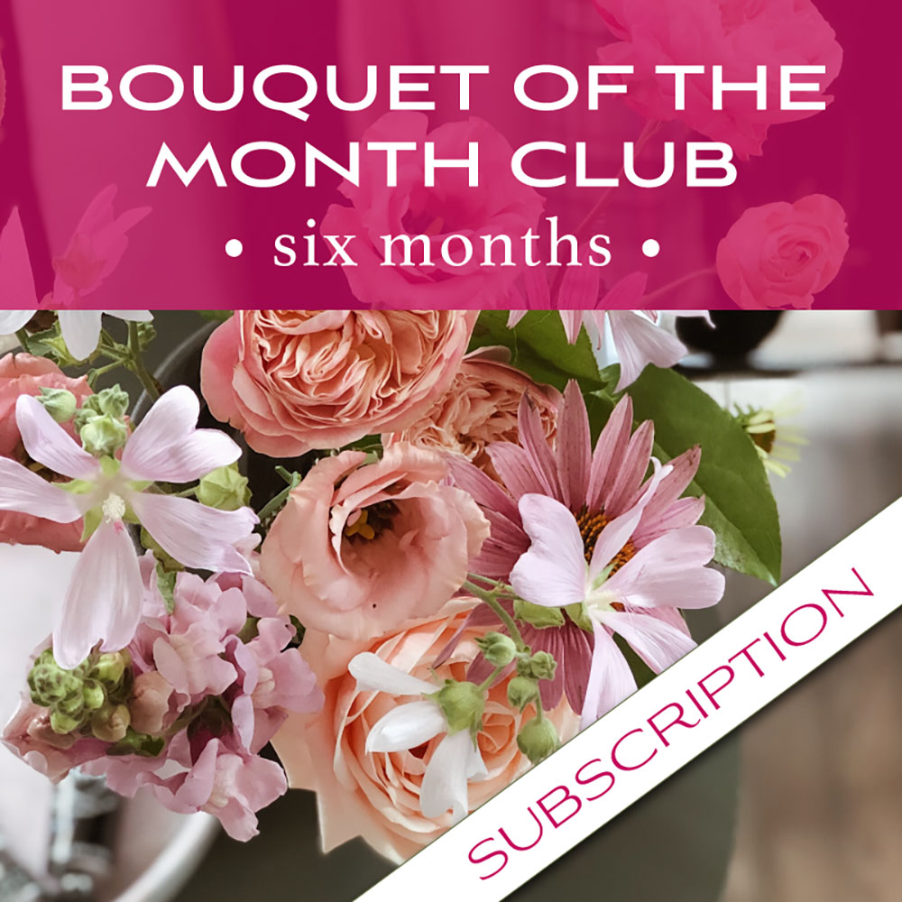 Bouquet of the Month Club (6)