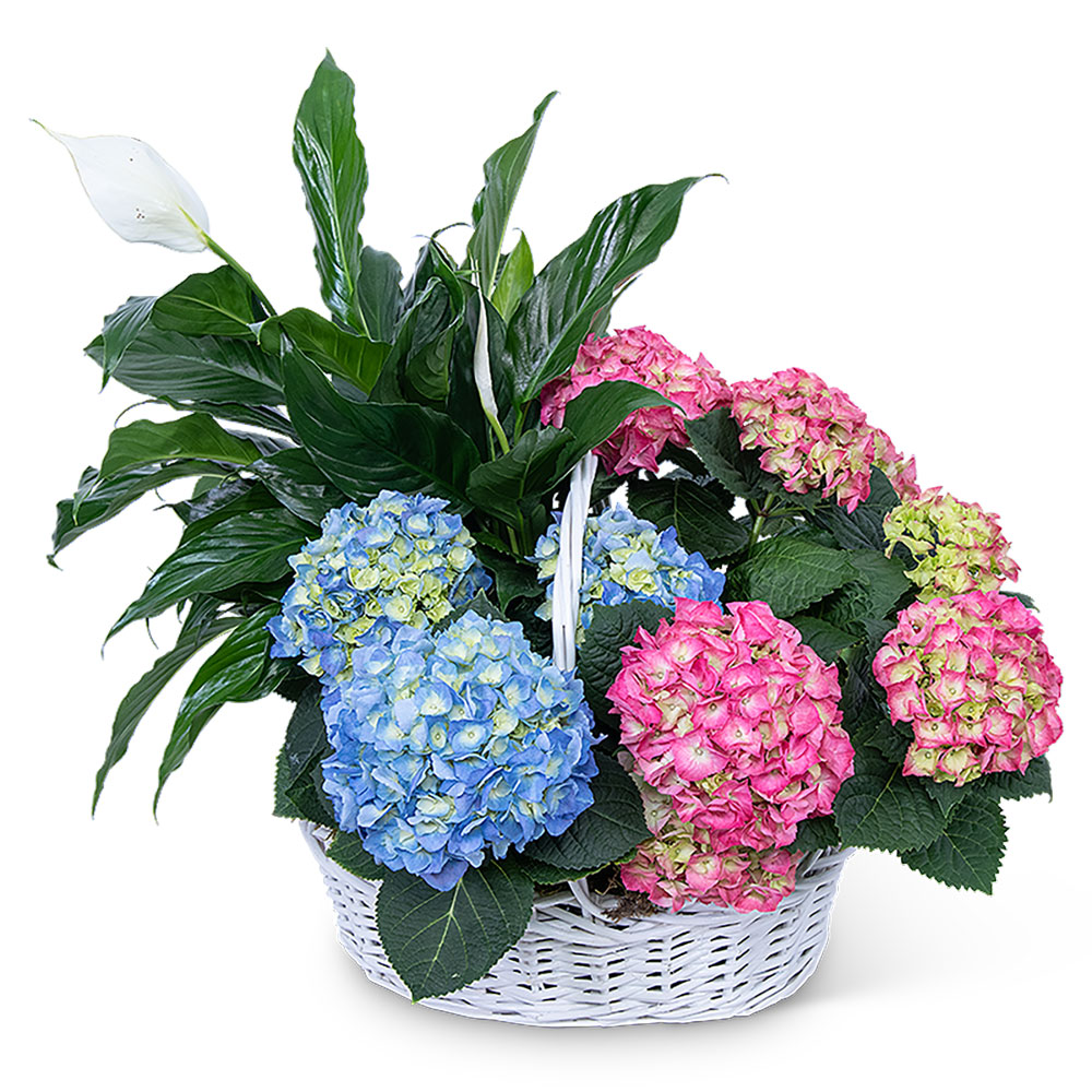 Bountiful Basket Flower Bouquet