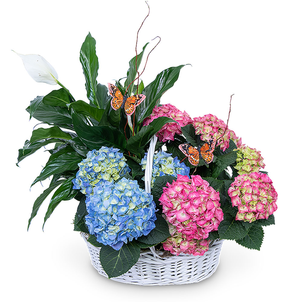 Bountiful Basket with Butterflies Flower Bouquet