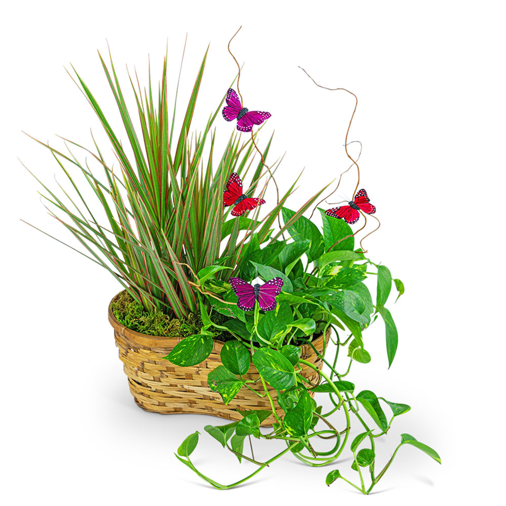 Ethereal Garden Basket Flower Bouquet
