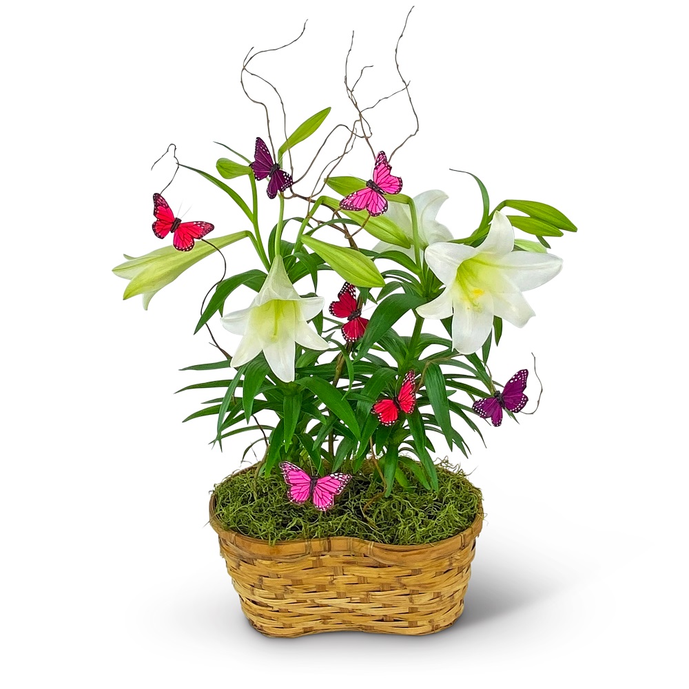 Easter Lilies in Spring Basket Flower Bouquet
