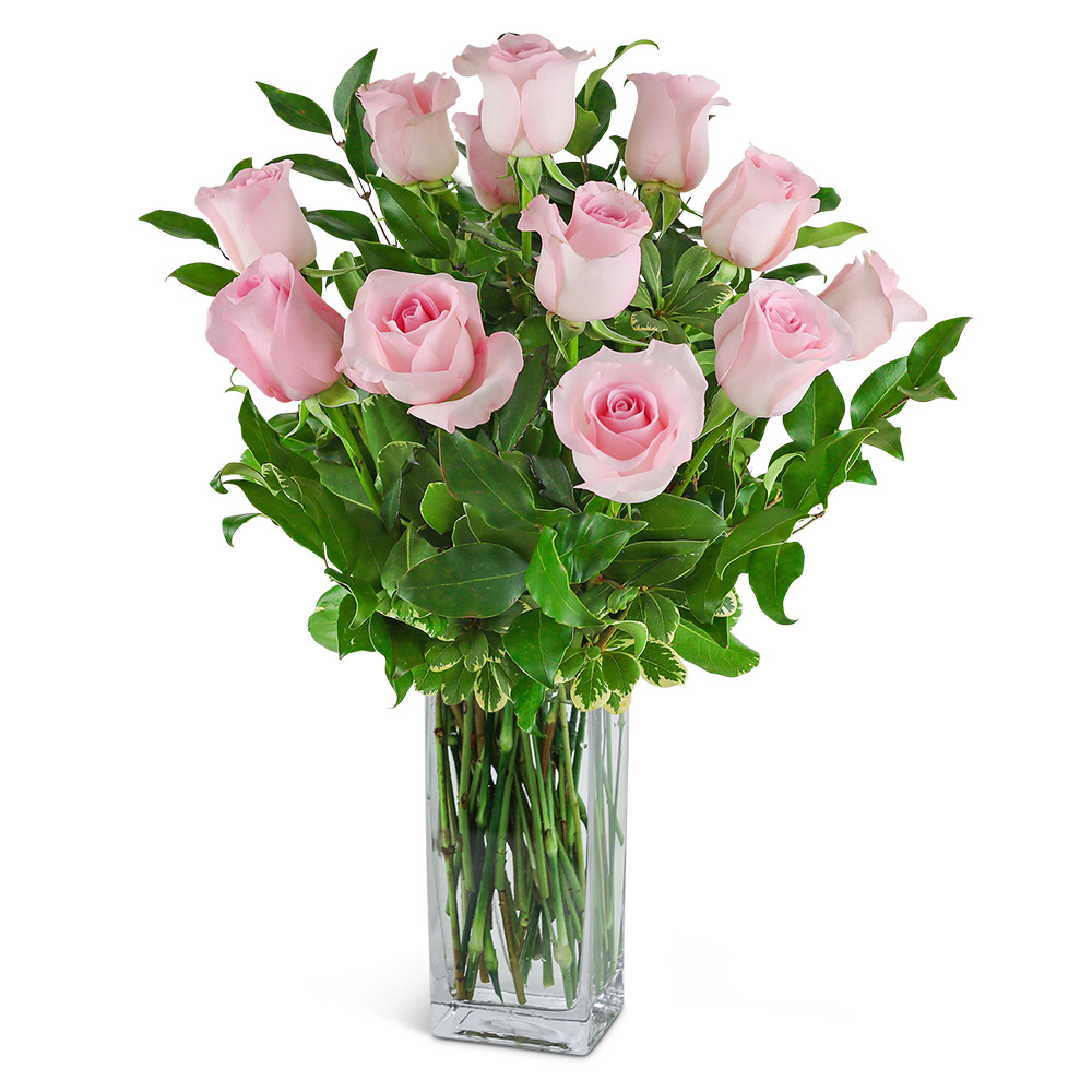 One Dozen Light Pink Roses Flower Bouquet