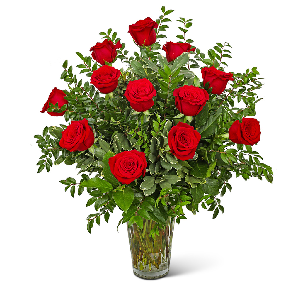 One Dozen Elegant Red Roses Flower Bouquet