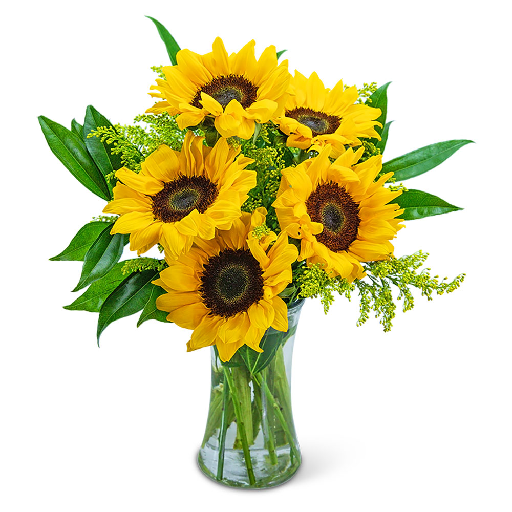 Sprinkle of Sunflowers Flower Bouquet