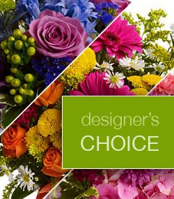 Designer's Choice Deluxe