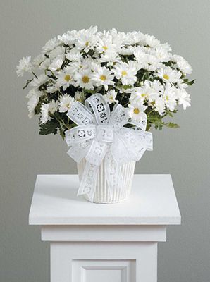 White Daisies Flower Bouquet