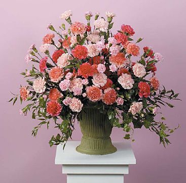 Carnation Tribute Flower Bouquet