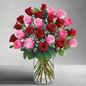 2 Dozen Pink and Red Roses Flower Bouquet