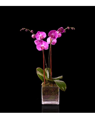 Pink Double Orchid in Glass Flower Bouquet