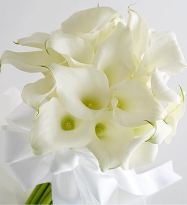 Miniature Calla Lily Bride's Bouquet