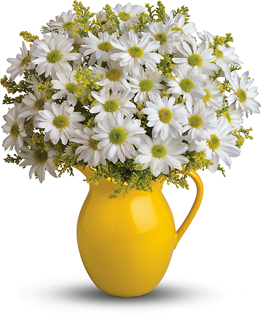 Sunny Day Pitcher of Daisies Flower Bouquet