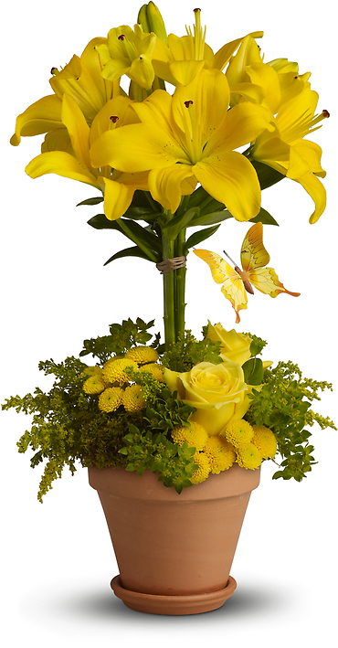 Yellow Fellow Flower Bouquet