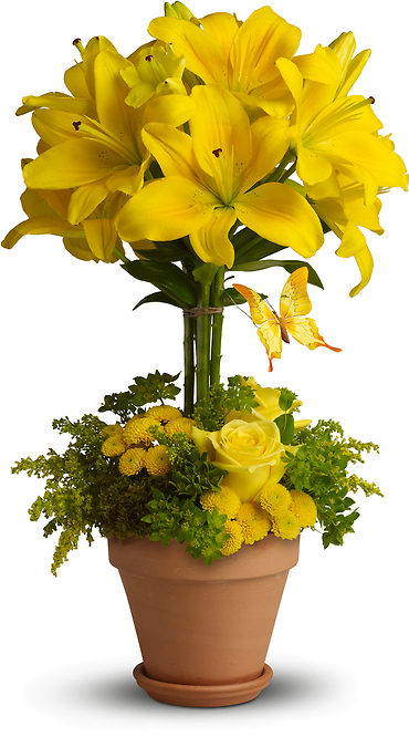 Yellow Fellow Flower Bouquet