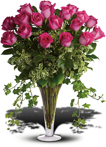 Dreaming in Pink - 18 Long Stemmed Pink Roses Flower Bouquet