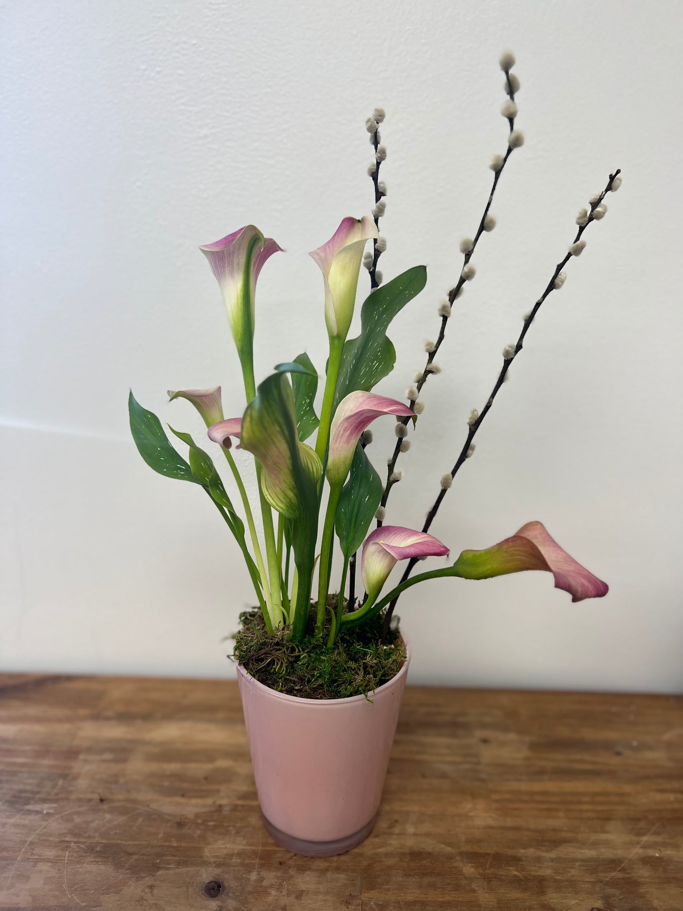 Calla Lily & Pussy Willow Indoor Plant